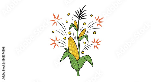 Corn plant illustration with fireworks and green leaves on white background.