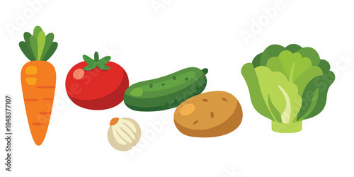 vector illustration of fresh vegetables, carrot, tomato, cucumber, potato, garlic, and lettuce. Perfect for healthy food, diet, vegan concepts.