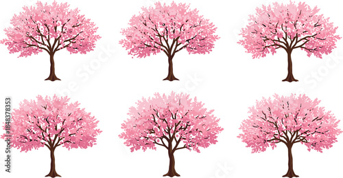 Beautiful cherry blossom trees illustration with pink flowers and lush branches, perfect for spring, floral, botanical, and landscape vector design.