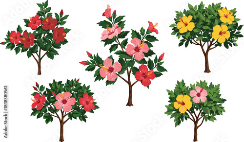 Beautiful hibiscus flower tree illustration with vibrant red, pink, and yellow blossoms, perfect for botanical, decorative, tropical, and garden designs.