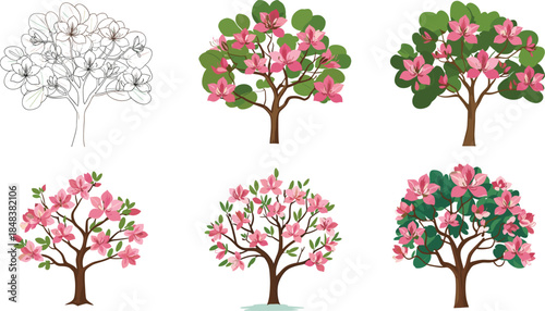 Beautiful pink magnolia blooming trees vector illustration set with floral spring design, decorative botanical artwork, and seasonal garden elements