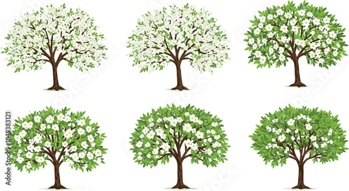 Beautiful spring blossom trees illustration with white flowers and lush green leaves, perfect for nature, garden, floral, botanical, and landscape vector designs.