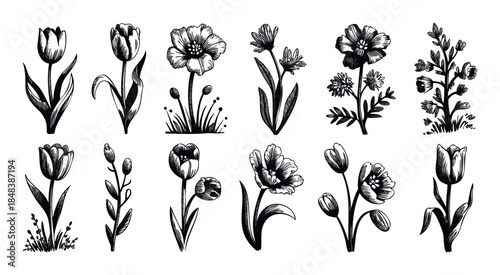Collection of hand drawn flowers in a vintage sketch style, botanical set with tulips for wedding invitations and nature decoration