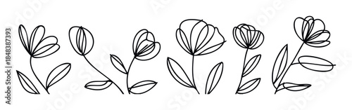 A collection of simple line drawing flowers with stems and leaves in a minimalist doodle style for botanical decor and elegant branding