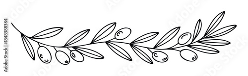 Simple hand drawn olive branch with leaves and olives in a minimalist line style for organic product branding, natural cosmetics, or elegant menu decoration.