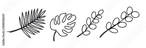 Hand drawn set of tropical leaves in a minimalist line art style, featuring monstera and palm fronds for botanical decoration, logos, and eco friendly branding projects.