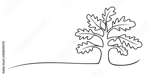 Minimalist line drawing of an oak tree with distinctive lobed leaves and a spreading branch extending into a curved line, perfect for nature themes and graphic use.