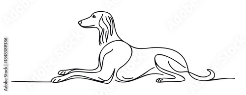 Elegant line drawing of a graceful Saluki dog resting, perfect for pet care branding, veterinary clinics, or canine lifestyle products.