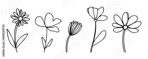 Simple line drawings of various flowers with stems and leaves, perfect for adding a touch of nature to invitations, greeting cards, or digital scrapbooking projects.