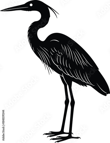 Black silhouette vector illustration of a graceful heron bird standing, representing wetland wildlife, nature, tranquility, wading birds, and aquatic animal fauna on white.