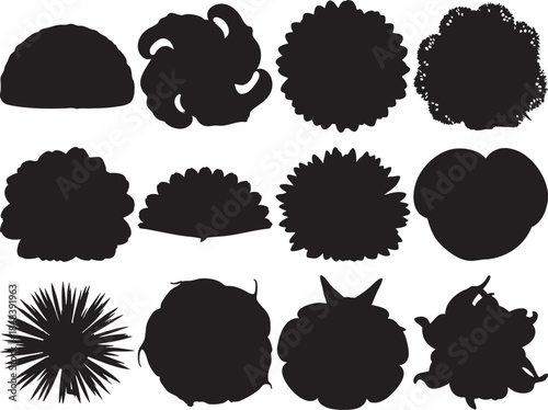 Collection of various abstract floral silhouettes for design projects