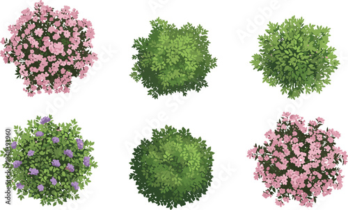 Top view flowering shrubs and green bushes collection illustration isolated on white background for garden landscape and botanical design