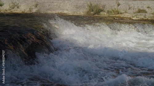 Wallpaper Mural Salmon struggle upstream in slow motion during Ontario's salmon run Torontodigital.ca