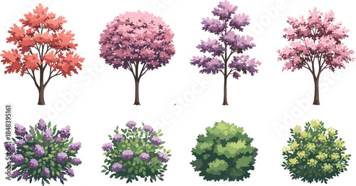 Flowering trees and ornamental shrubs illustration isolated on white background for spring garden landscape botanical design concepts elements visuals