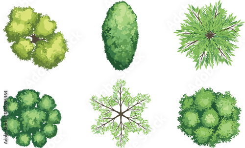 Top view green trees and bushes shapes illustration isolated on white background for landscape design, garden planning, and botanical textures