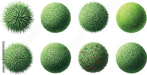 Top view green bushes and shrub foliage textures collection illustration isolated on white background for landscape design and garden planning