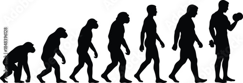 Human evolution silhouette sequence, ape to modern fitness athlete, walking progression, strength training, health, development, science, lifestyle concept
