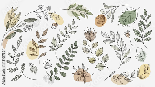 Botanical illustration of delicate leaves and flowers in a hand-drawn style.