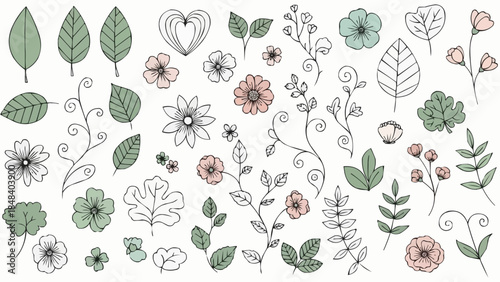 Hand Drawn Botanical Elements and Floral Illustrations.