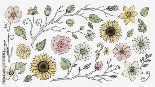 Collection of Hand Drawn Botanical Elements and Flowers.