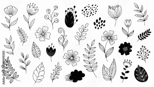 Collection of Hand Drawn Botanical Elements and Floral Illustrations.