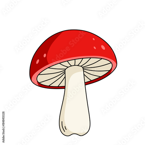 Red mushroom vector illustration with white stem, inspired by forest fungi, perfect for nature themes, fairy tales, education materials, and botanical design elements