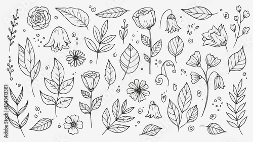 Hand Drawn Botanical Elements Collection Floral Leaves and Flowers Sketch.