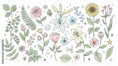 Collection of Hand Drawn Botanical Illustrations with Delicate Watercolor Accents.