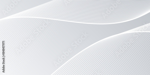 gray and white abstract background modern vector illustration. abstract wavy lines background. abstract white background.