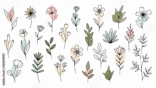 Collection of minimalist line art botanical illustrations with subtle pastel color accents on a white background.