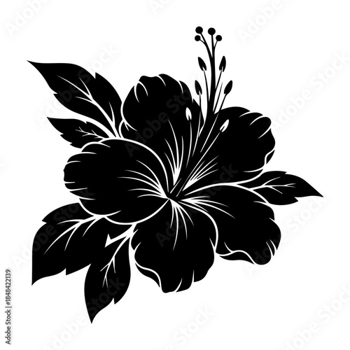 A black and white illustration of a hibiscus flower with leaves and stamens