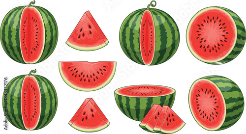 Fresh watermelon set with whole fruit halved pieces and triangular slices with red pulp and black seeds isolated on white background flat vector illustration