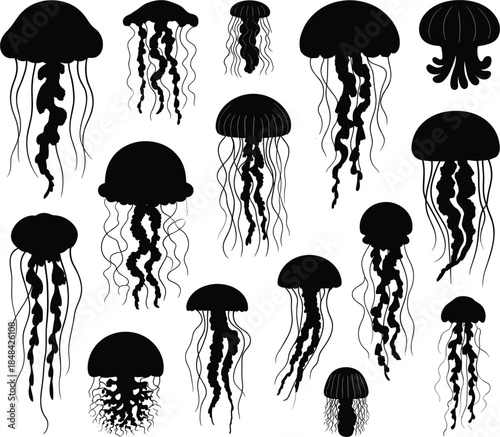 Collection of black silhouette jellyfish with tentacles on white background marine ocean