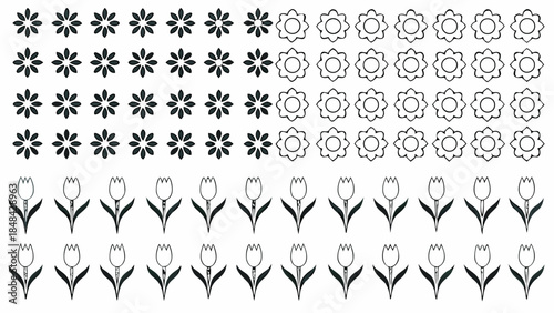Black and white floral patterns with tulips and flowers
