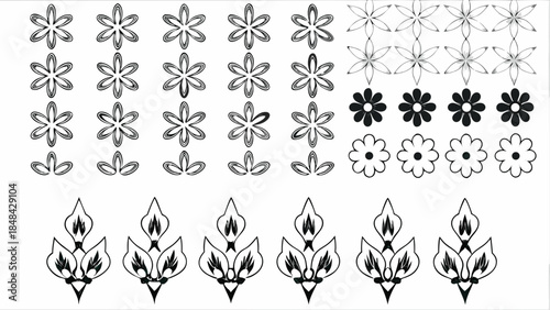 Variety of elegant floral designs and patterns for decoration