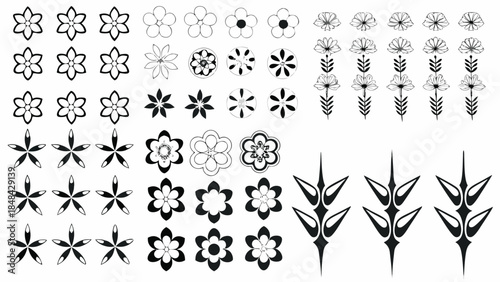 Collection of elegant floral designs and patterns in black