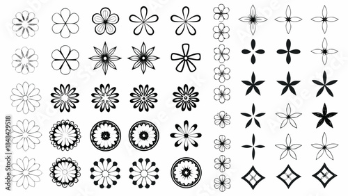 Collection of elegant floral designs and mandalas for creative projects