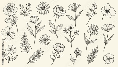 Collection of Hand Drawn Botanical Illustrations of Various Flowers and Leaves.