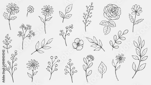 Collection of Hand Drawn Botanical Elements and Floral Illustrations.