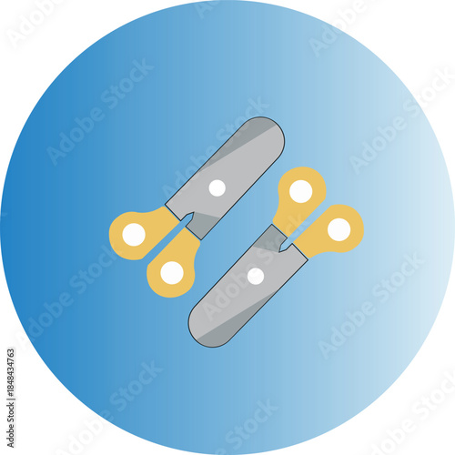 vector illustration of a metal key