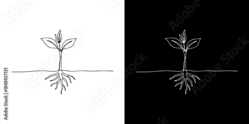 A Simple Illustration of a Seedling with Roots, Presented in Both Black and White Versions on Contrasting Backgrounds for Versatile Design Use
