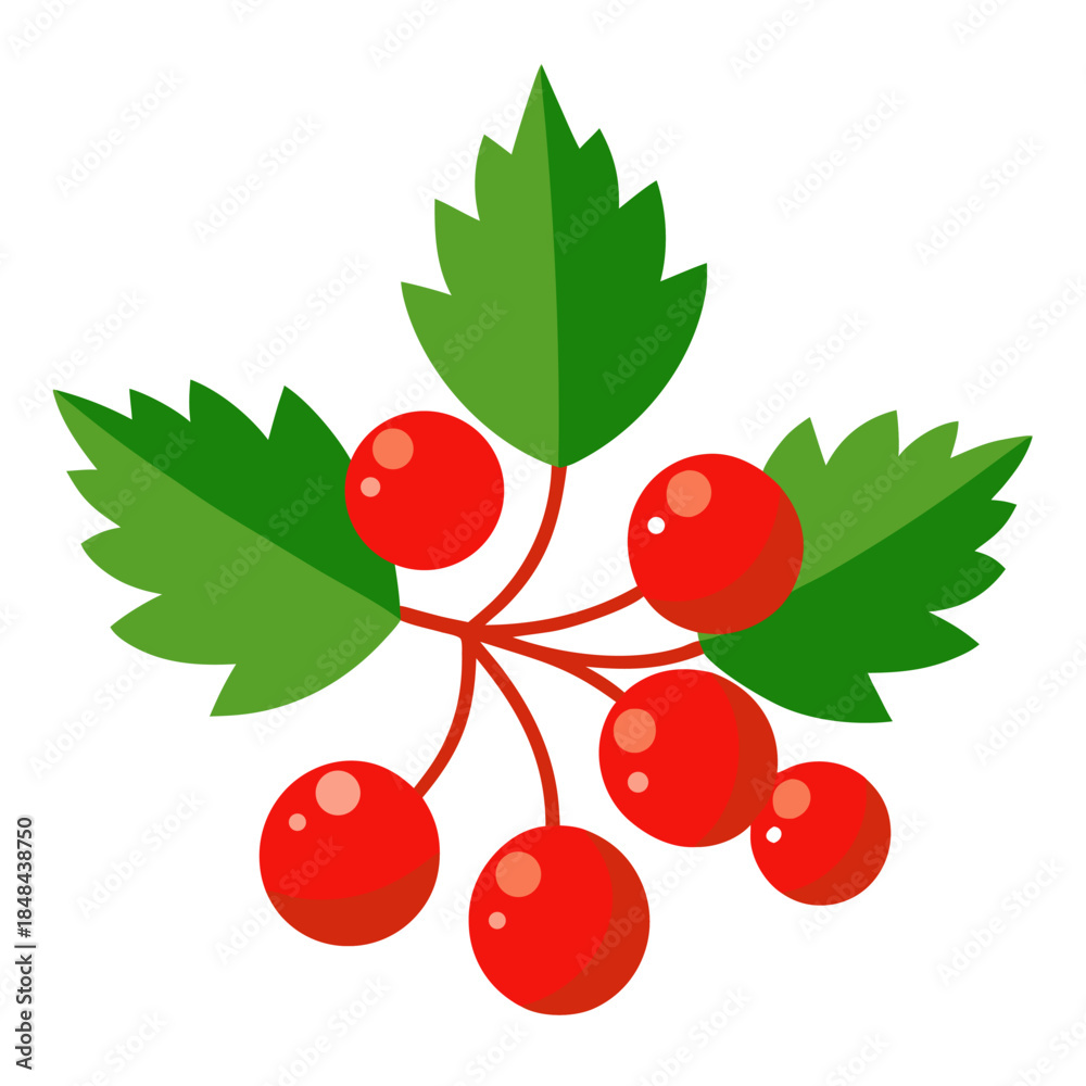Obraz premium hawthorn red with leaves