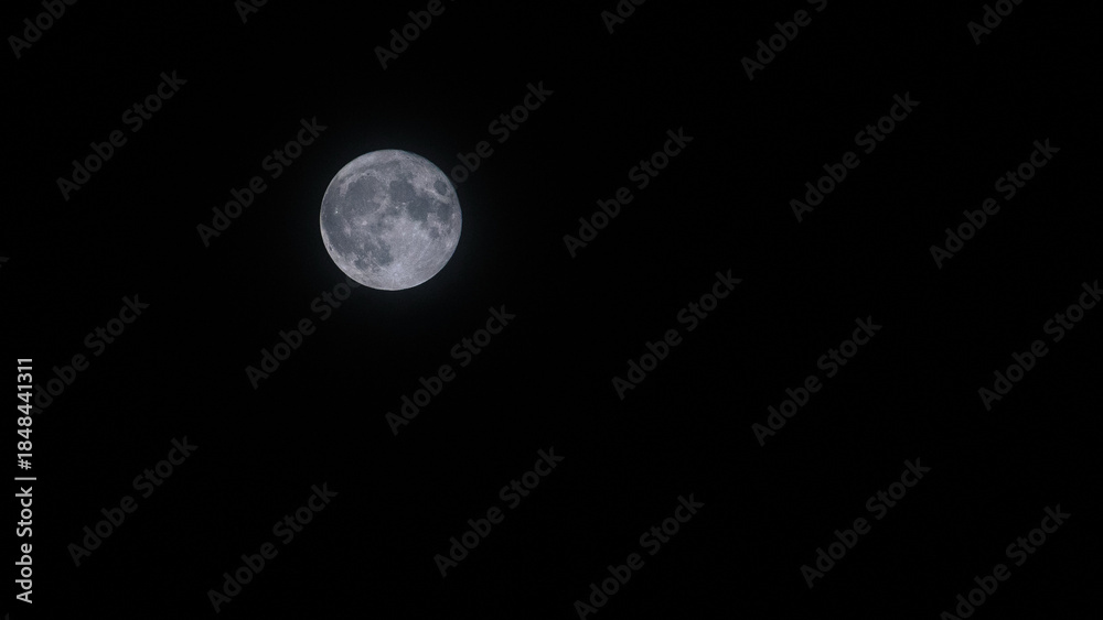 Fototapeta premium full moon in the night