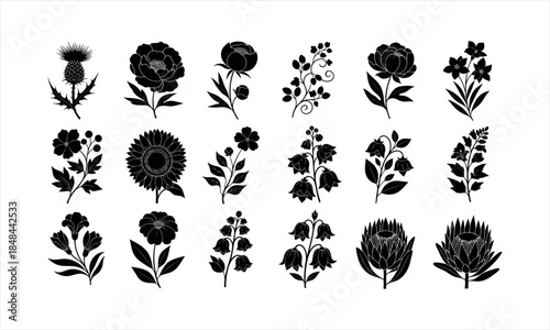 Collection of various black silhouette flowers and botanical elements.