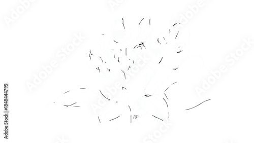 Abstract Black Sparse Line Scatter Effect Vector Graphic Isolated on White Background