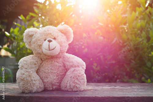 Cute teddy bear sitting on wooden table with sunlight background.