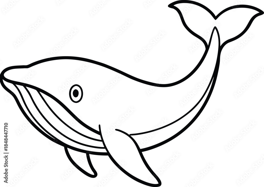 Fototapeta premium Minimalist thin black outline vector whale illustration
