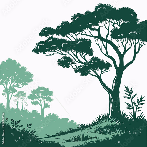 Green trees and grass in rainforest clearing with sunlight beam