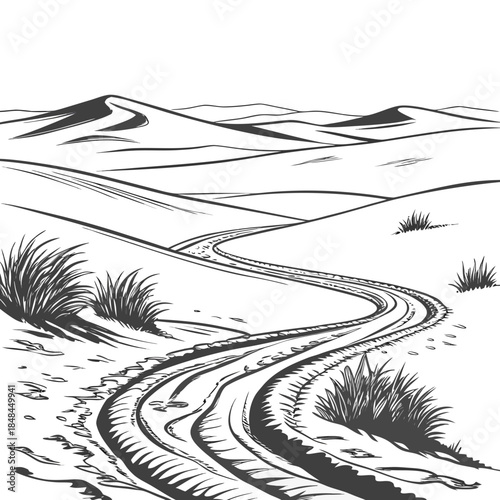 Desert valley with sand trails and grass