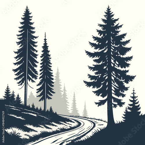 Winding forest trail with tall fir trees road pathway